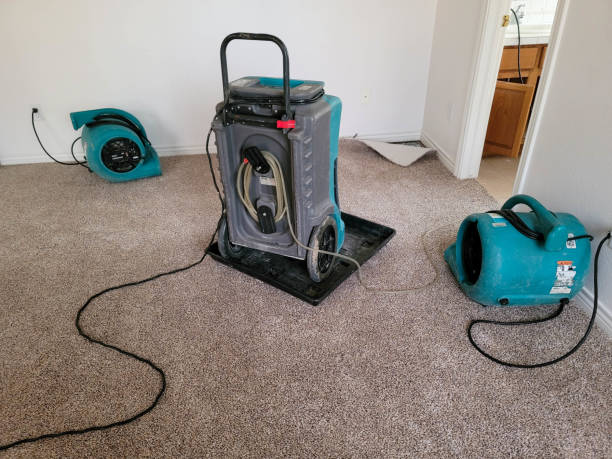 Best Flood restoration services  in Pineville, LA