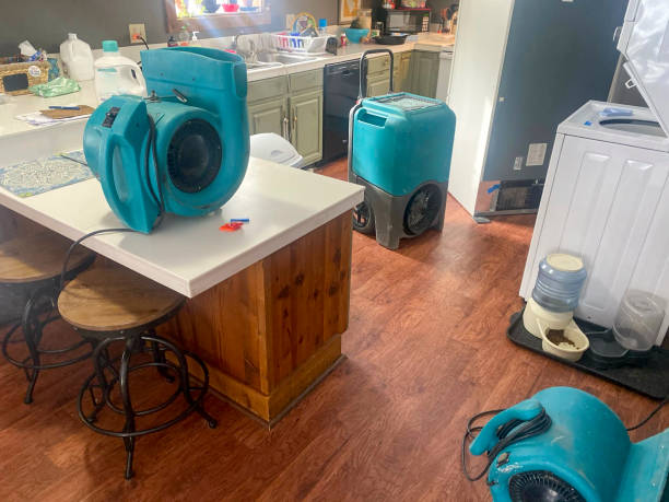 Best Water damage contractors near me  in Pineville, LA