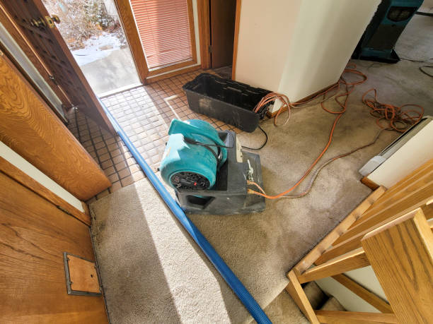 , LA Water damage restoration Company