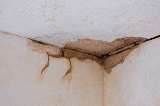 Best Flooded house restoration  in Pineville, LA
