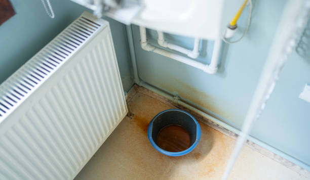 Best Mold removal after water damage  in Pineville, LA