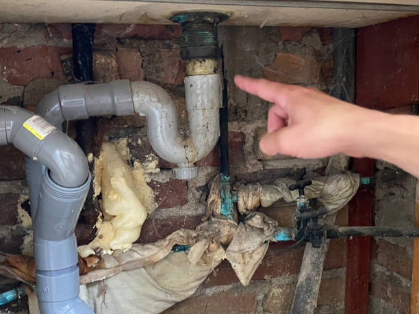 Best Basement water damage restoration  in Pineville, LA
