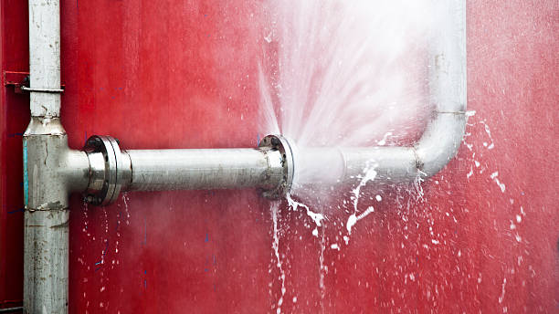 Best Carpet water damage restoration  in Pineville, LA